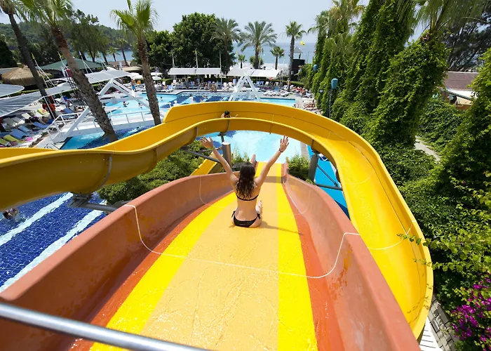 Resort Sealife Buket & Okurcalar
